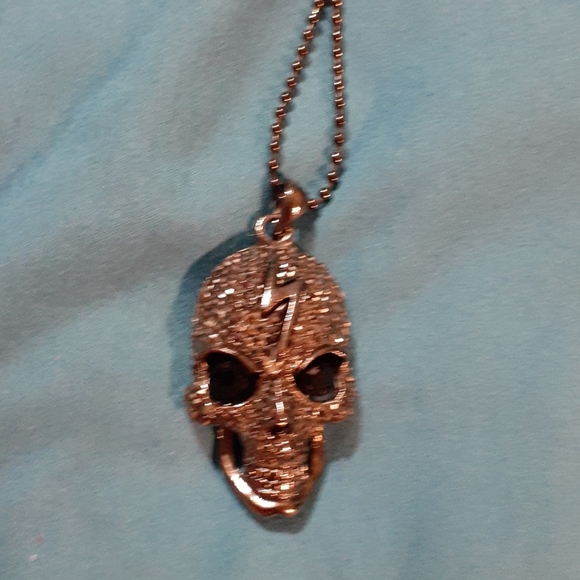 Black Skull Stainless Steel Necklace- Halloween - Picture 6 of 6